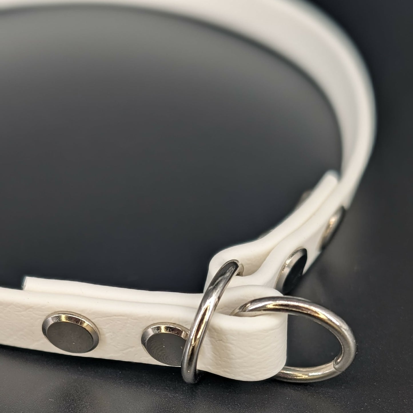 white biothane slip collar with silver hardware