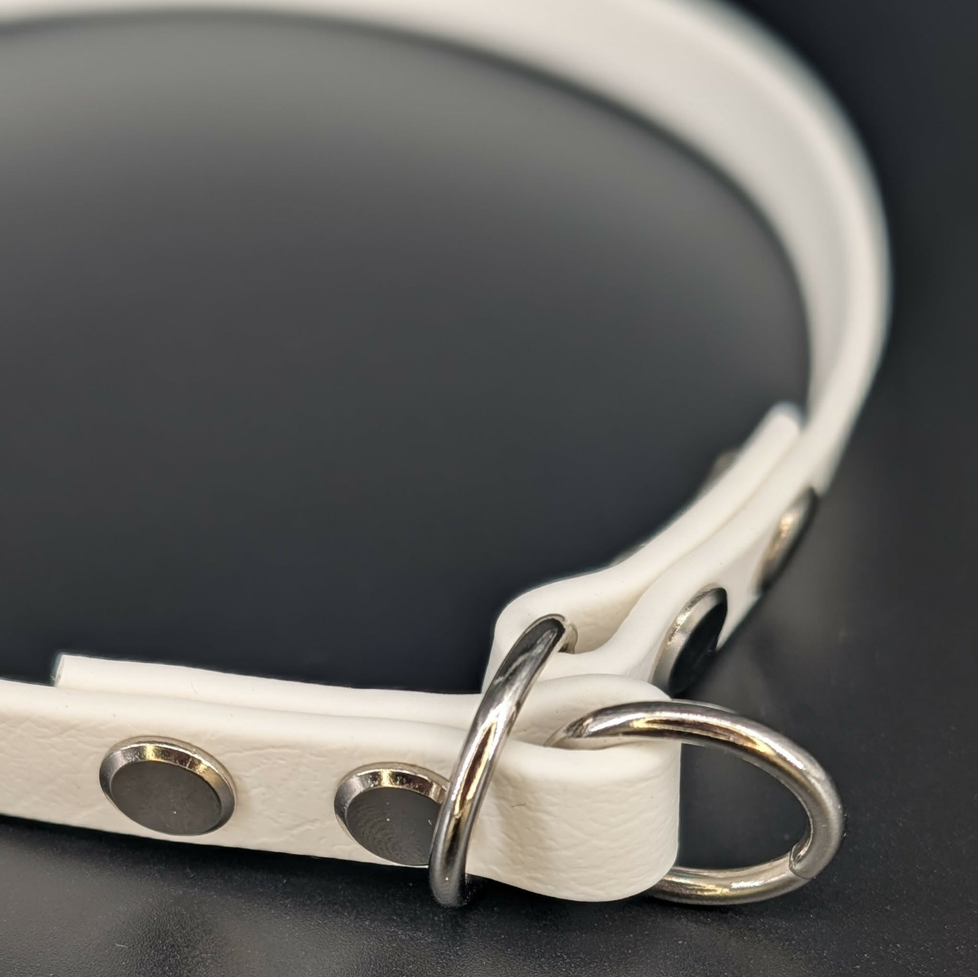 white biothane slip collar with silver hardware