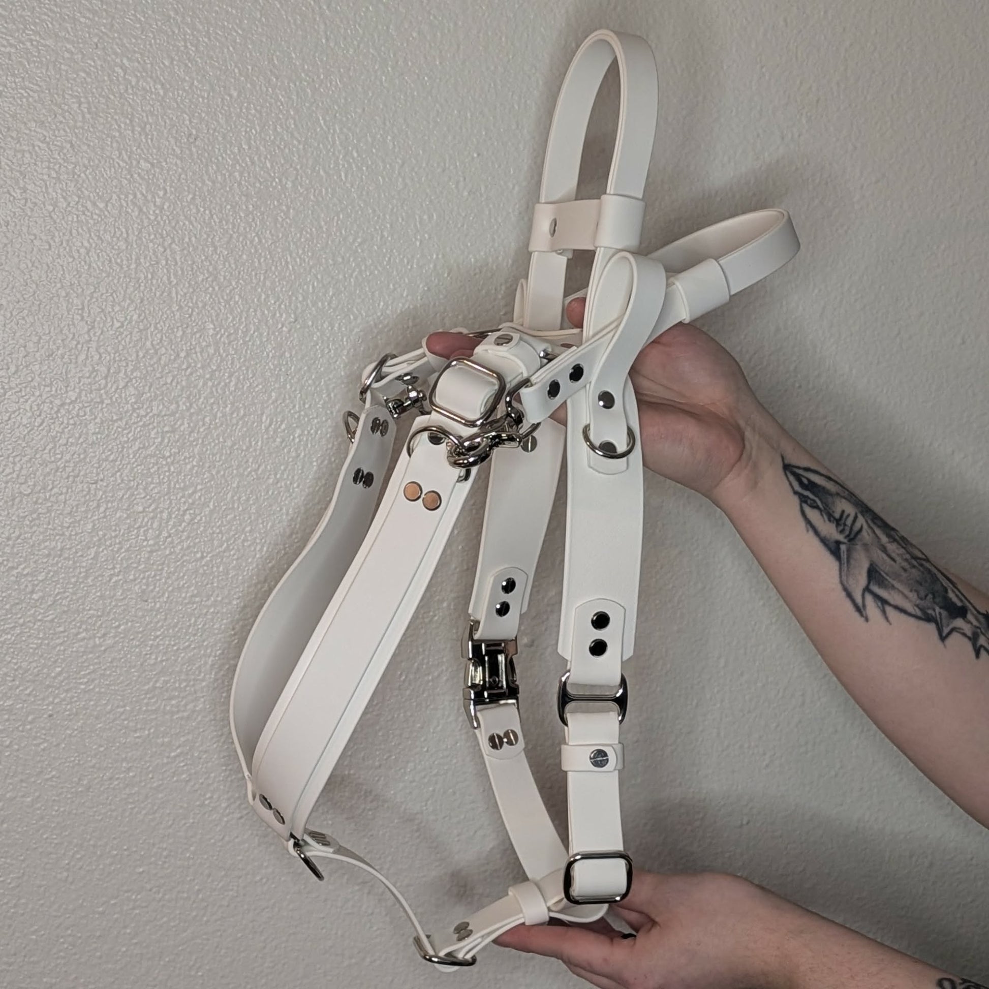 white biothane y-front service dog harness with counterbalance handle and pull strap