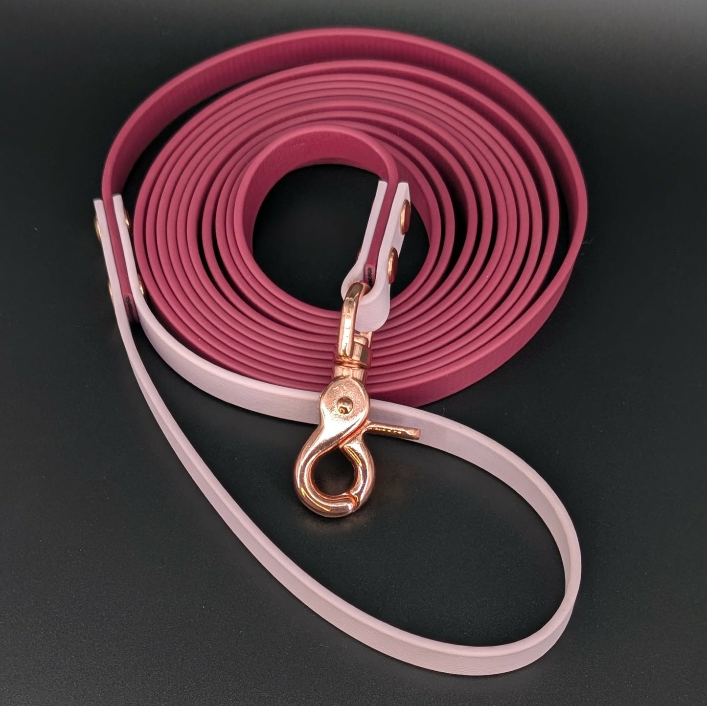 wine and lavender biothane leash for dog