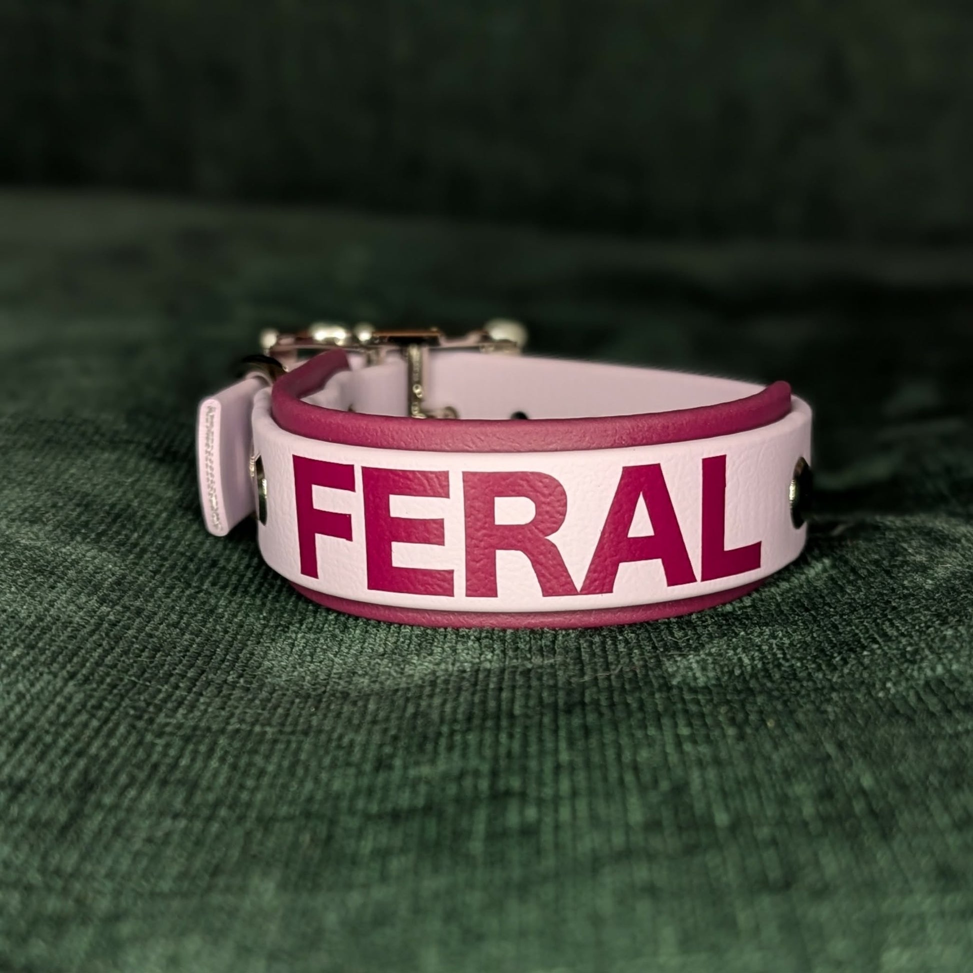 Wine and lavender layered biothane dog collar with 'FERAL' text on a green textured background