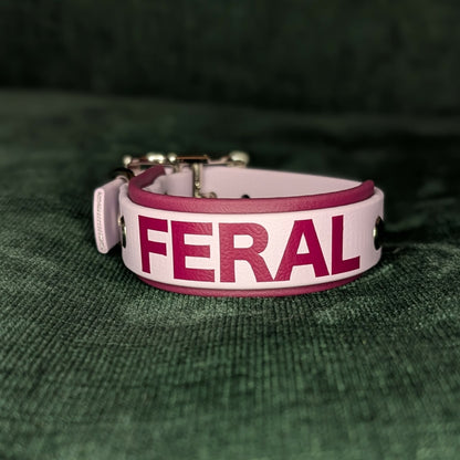 Wine and lavender layered biothane dog collar with 'FERAL' text on a green textured background