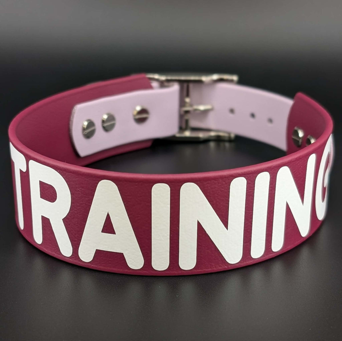 wine and lavender tapered biothane dog collar with white text reading in training