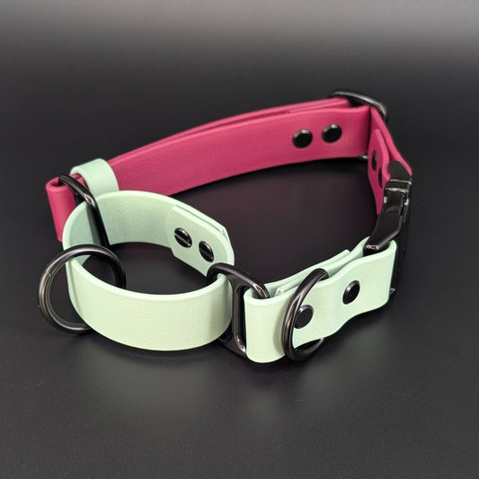 wine and mint green biothane martingale dog collar with quick release buckle