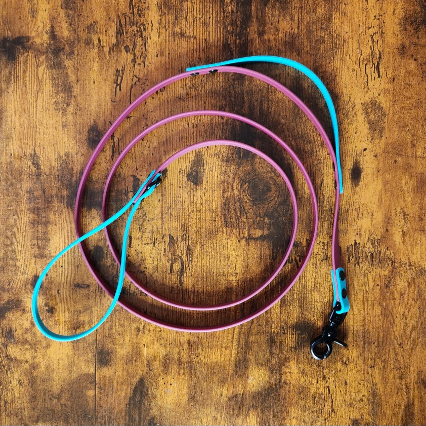 wine and teal biothane dog leash with built in traffic handle