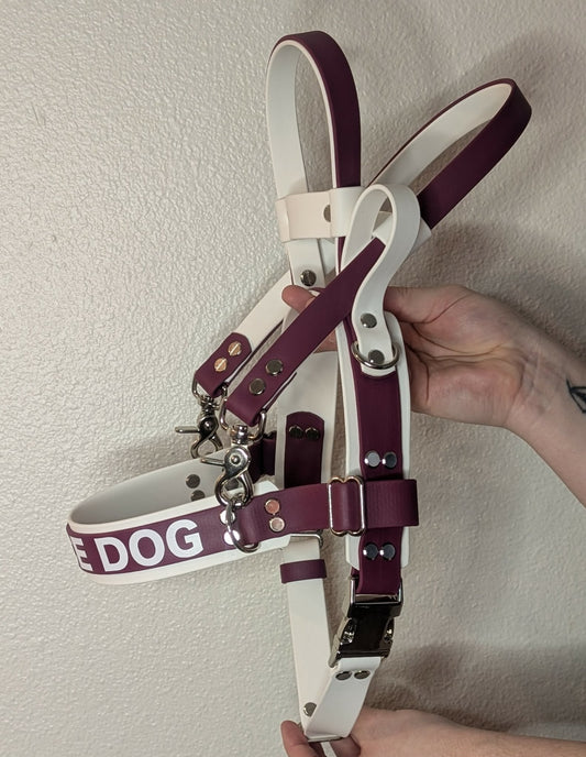 wine and white layered biothane straight front service dog harness with counterbalance handleand pull strap and service dog text across the chest strap