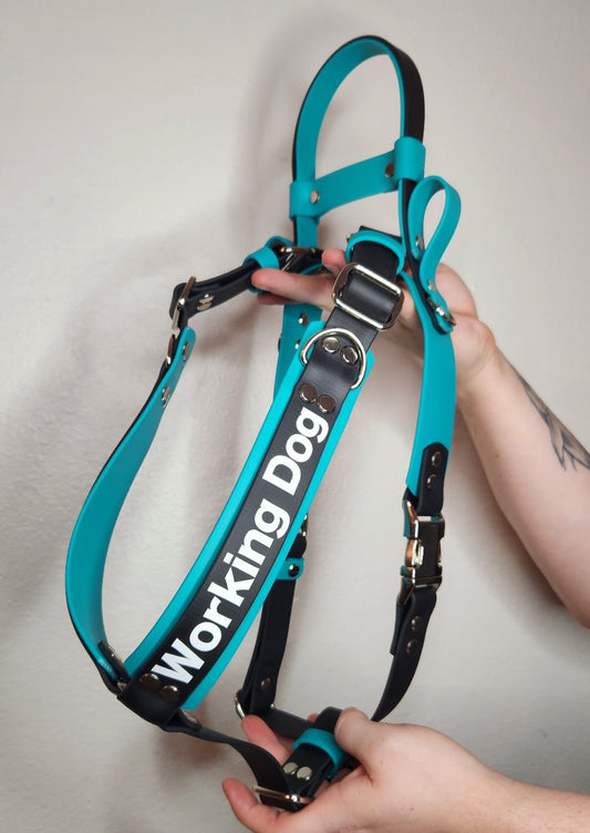 working dog counterbalance harness in layered teal and black biothane
