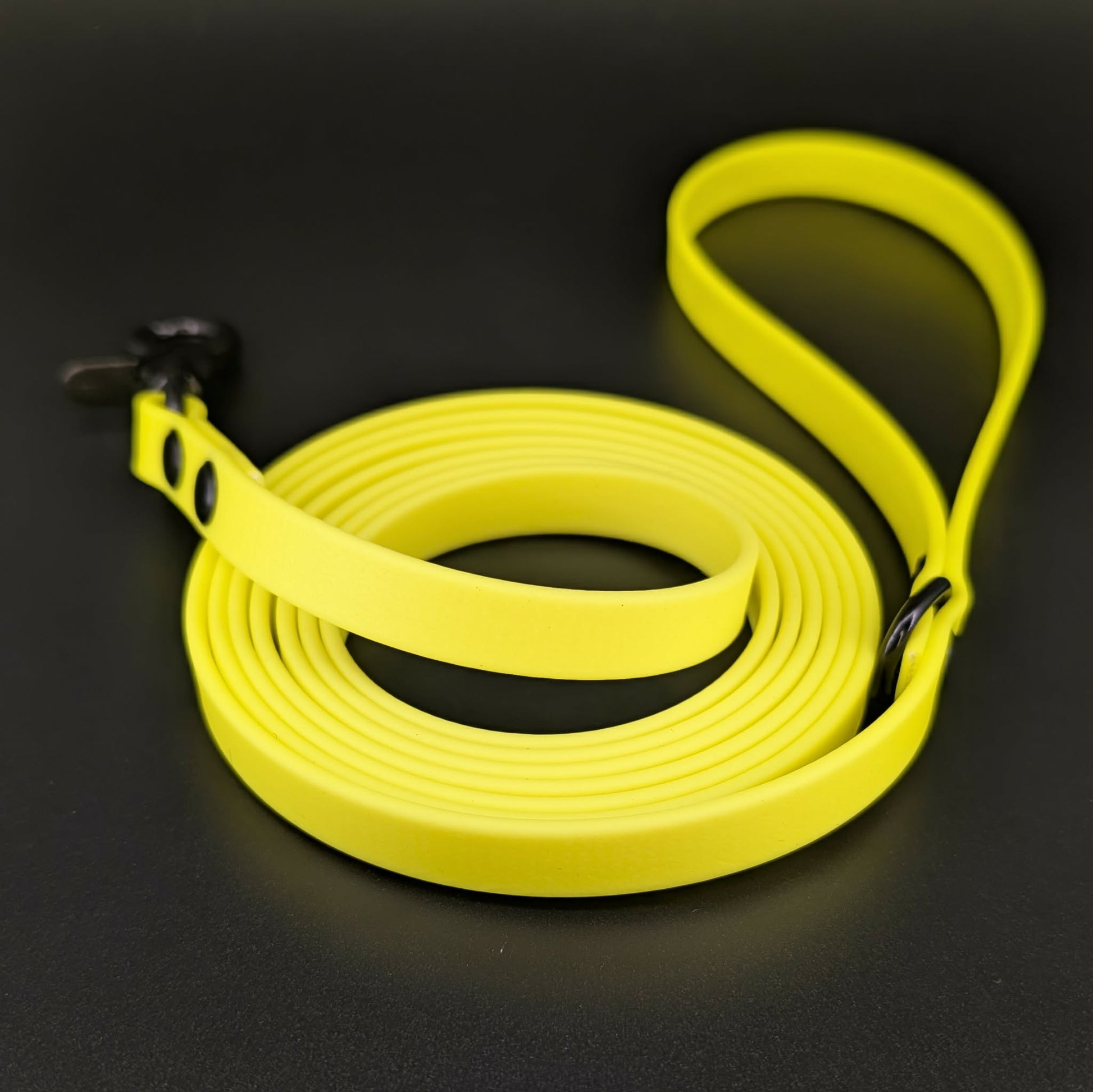yellow biothane dog lead