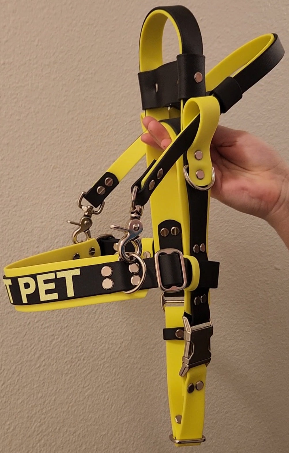 biothane straight front service dog harness with counterbalance handle, pull strap, and DO NOT PET text across the chest strap