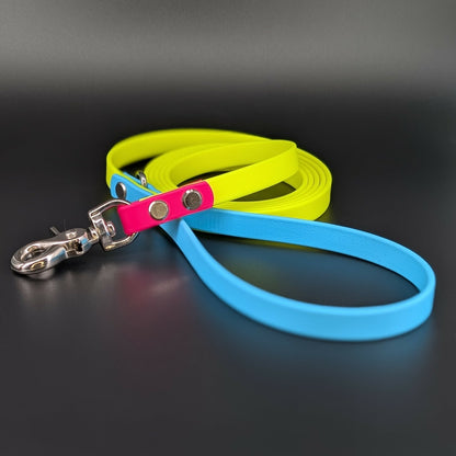 yellow light blue and pink biothane dog leash