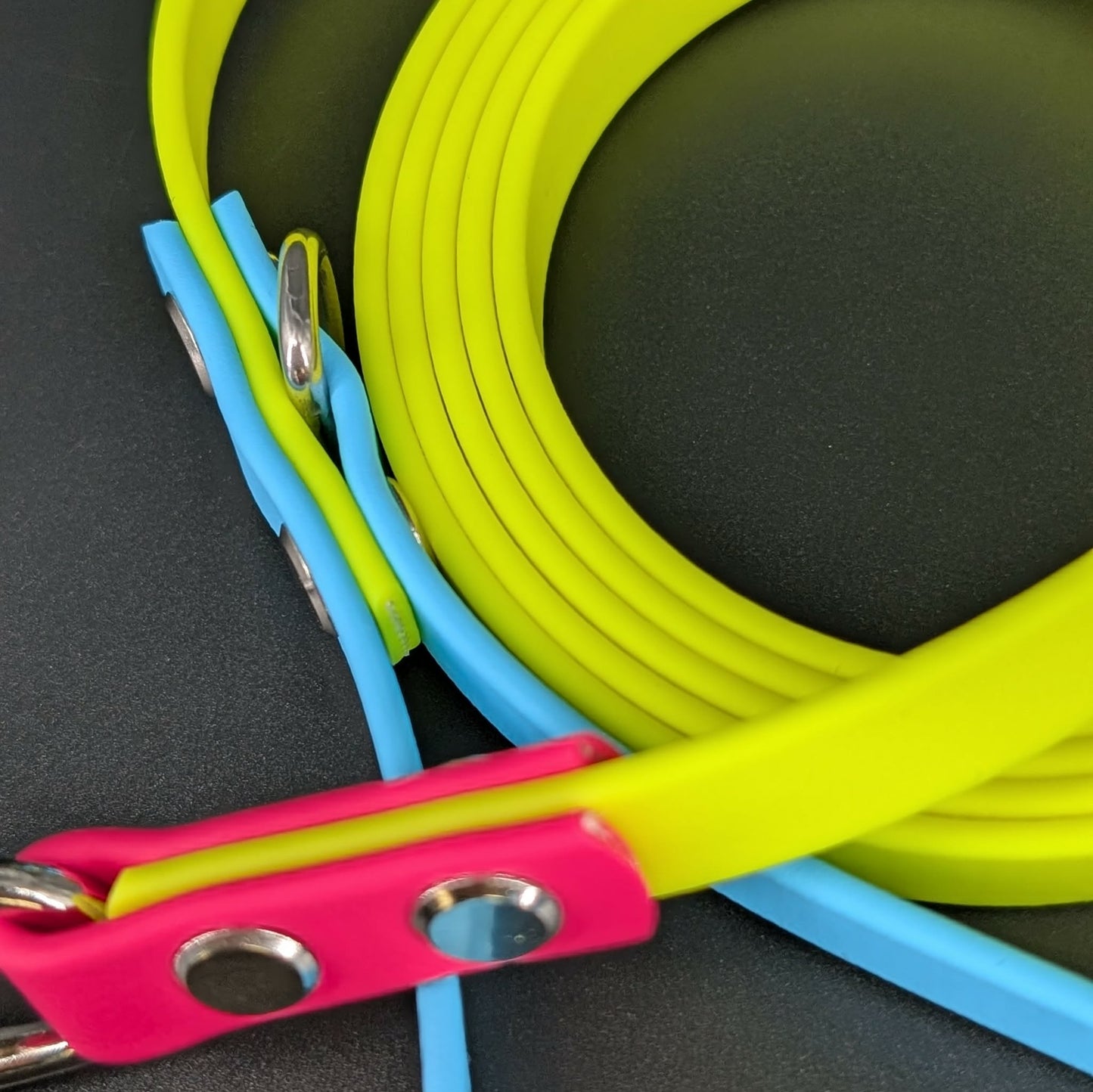 yellow light blue and pink biothane dog leash
