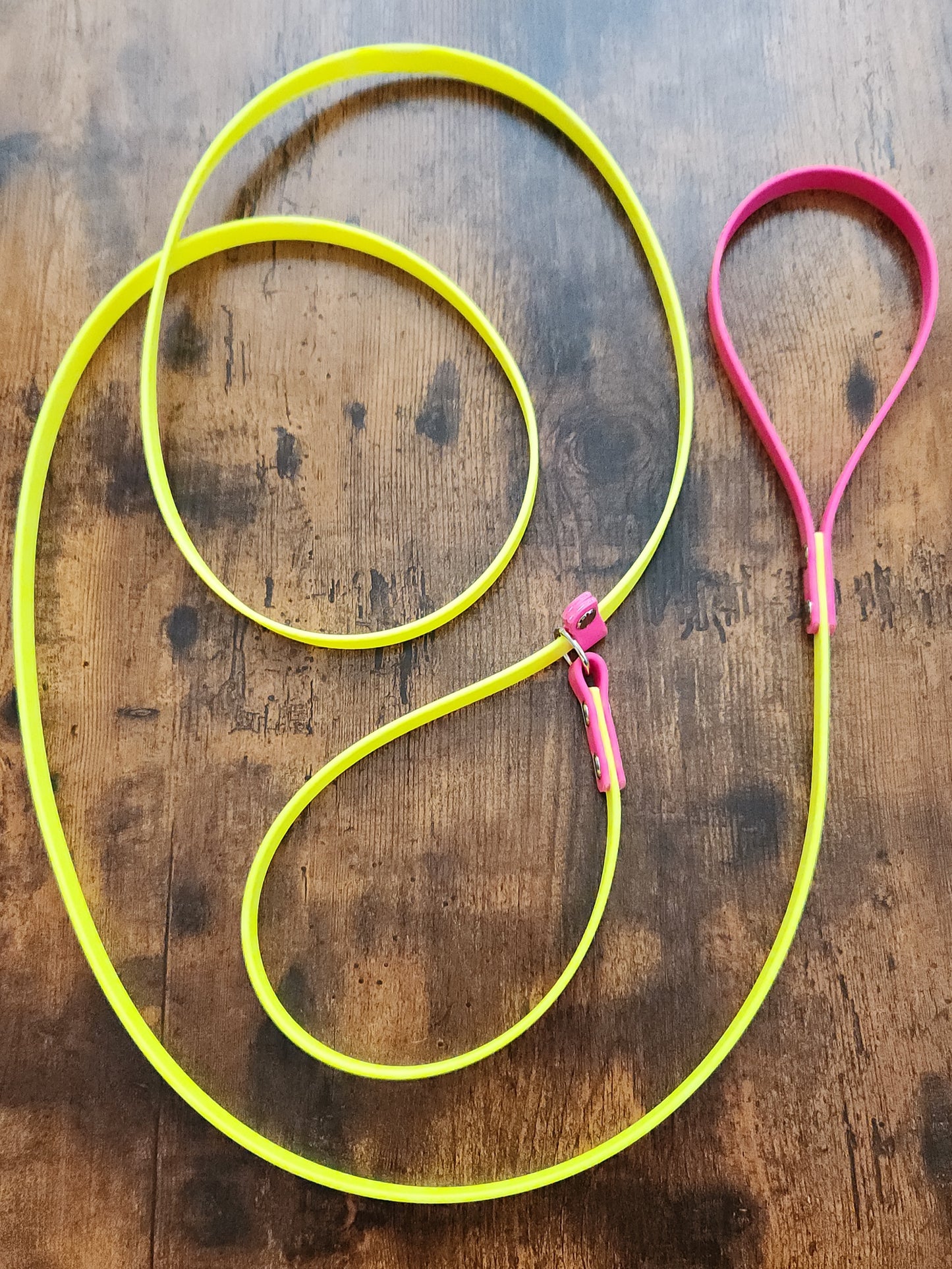 yellow and pink biothane slip leash